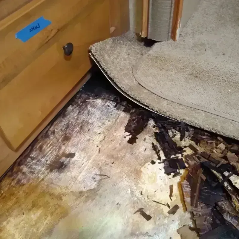 Wood Floor Water Damage in Condon, OR